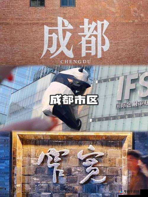 成都 4 片 P 高清完整版：精彩绝伦不容错过