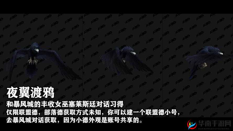 炉石传说安戈洛版本德鲁伊新战术探索，任务野兽德玩法与资源管理深度解析