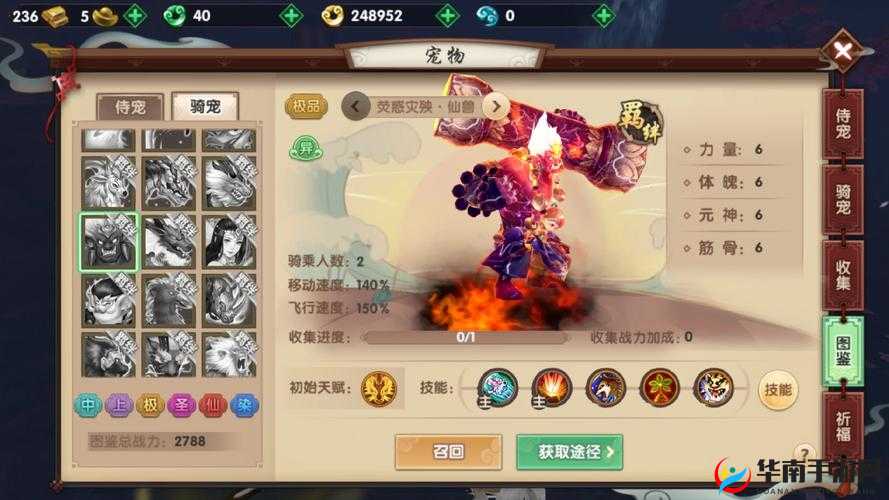寻仙手游深度解析骑宠获取途径，揭秘高效资源管理的艺术与策略