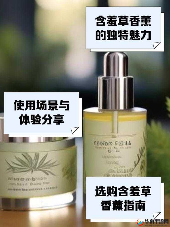 探秘 Diptyque 含羞草香薰：独特芬芳的神秘之旅