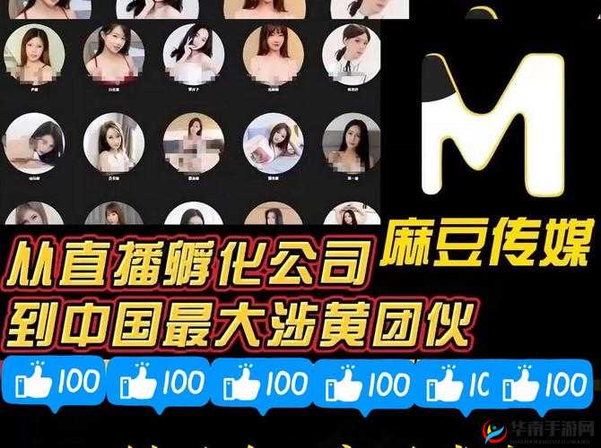 国产麻豆MD传媒视频：内容丰富多样引人关注