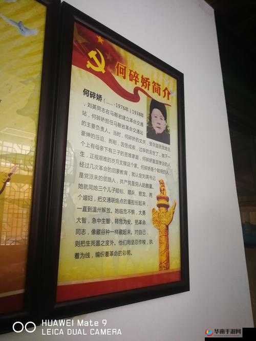 魔法与冒险世界交通革新揭秘，全面探索交通屋系统的神奇与便捷