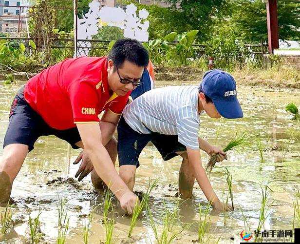 床上 100 种插秧方法：解锁新姿势，让你欲罢不能