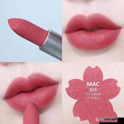 MAC 水蜜桃色 314 麻豆：打造自然清新妆容的必备之选
