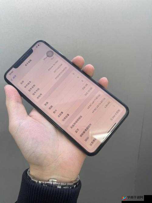 IPHONE XS MAX 日本：深度解析其在当地市场的独特魅力
