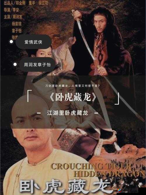 卧虎藏龙2深度解析，喝酒系统玩法技巧全揭秘与攻略指南