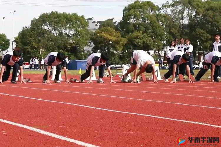 YN 荡校园运动会：青春飞扬，激情无限