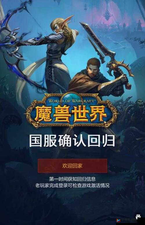 炉石传说，深度剖析猎人竞技场策略，并展望新版本变化与机遇