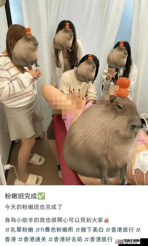 少妇扒开粉嫩小泬 69Xx：探索未知的奇妙旅程