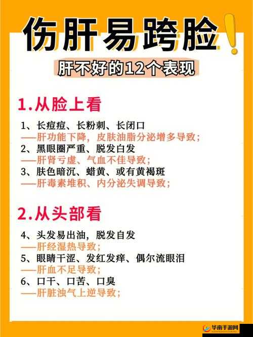 ：老公每天吃我小花园，会伤肝吗？——健康生活的重要性