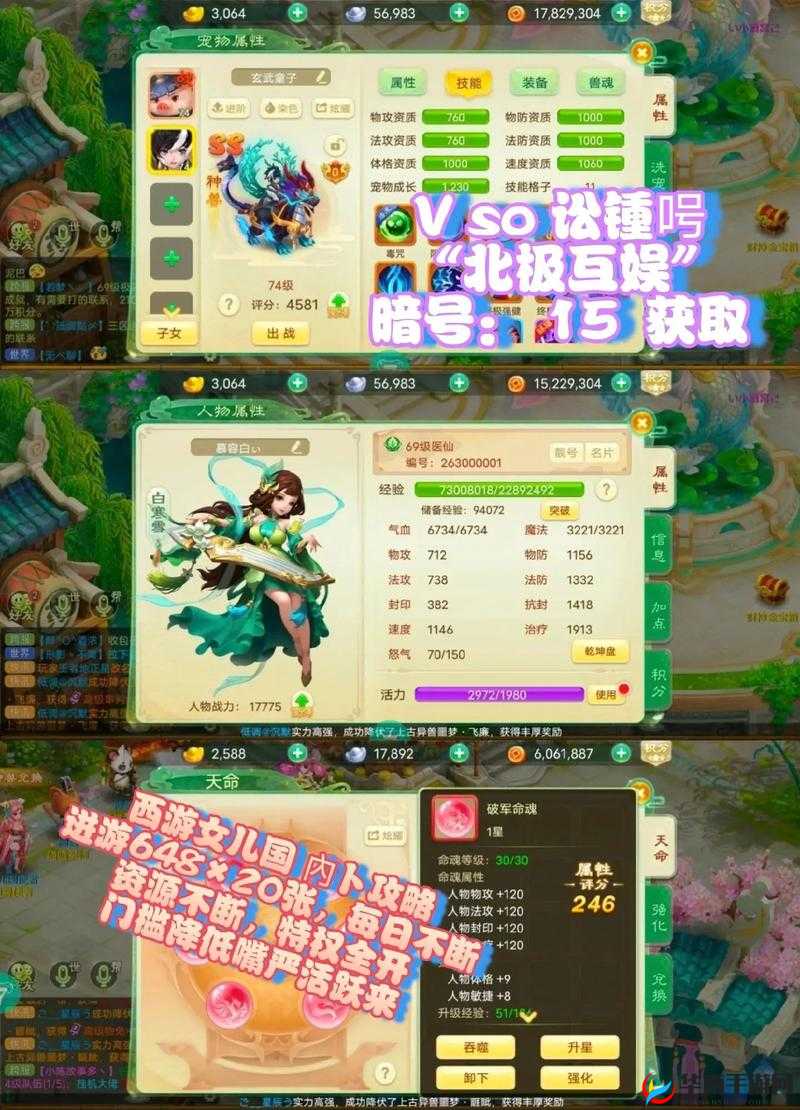 西游女儿国平民玩家必备，全面解析跑环任务高效完成技巧