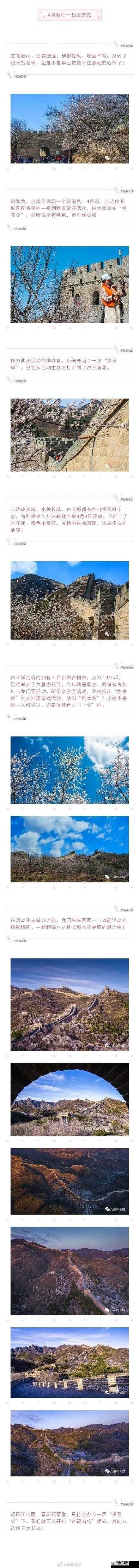 杏吧探花：探寻花丛中的奥秘