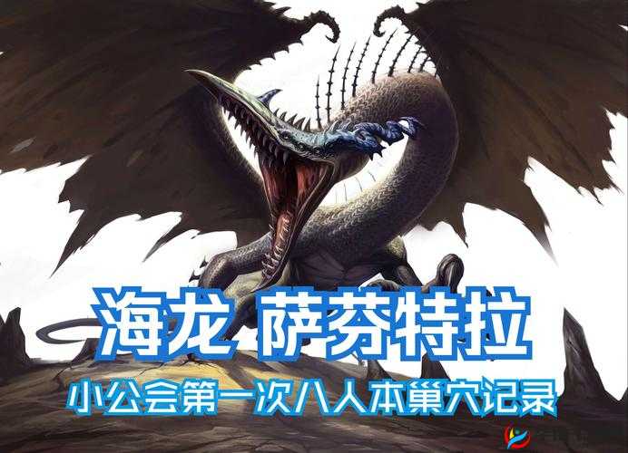 龙之谷手游剑皇挑战海龙副本第三关，通关技巧与实战视频深度解析