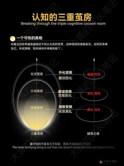 一直 5g 一直奭 5gbuzz：探索其背后的无限可能