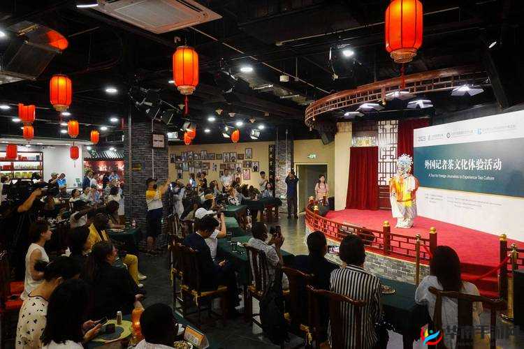 试看体验区 60 秒：开启精彩体验之旅