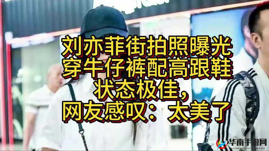 17.c起草旧版：对其历史意义与潜在价值的深入剖析