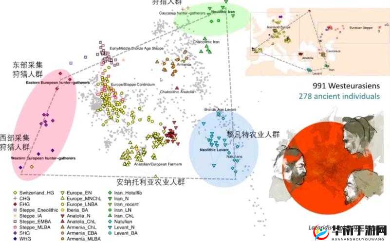 欧洲人与亚洲人 DNA 对比：差异与共性探究