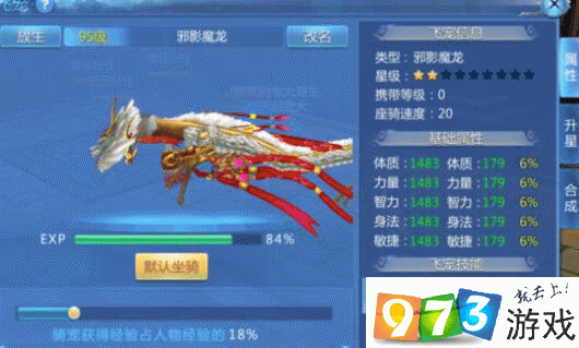九州天空城手游深度解析，飞宠升星策略与资源管理艺术心得分享