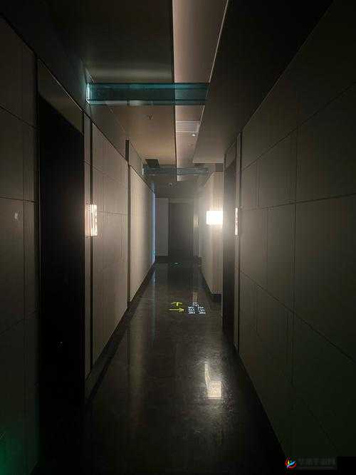 EEUSS 影院 WWW 免费最天堂：畅享极致观影体验