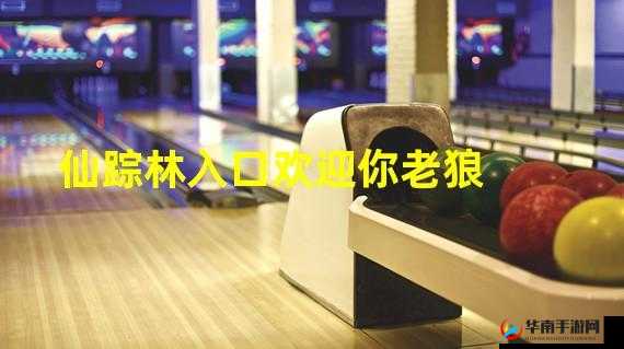 仙踪林老狼网站欢迎您：一个充满魅力与特色的地方