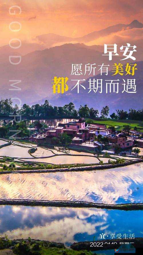 天天日天天干天天搞：努力拼搏奋斗每一天