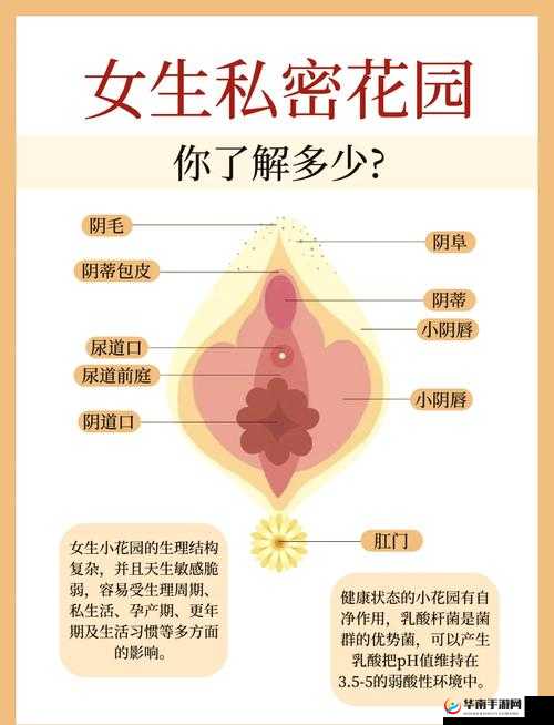国产 a 爽一区二区久久久水密桃：挑战感官极限的私密花园