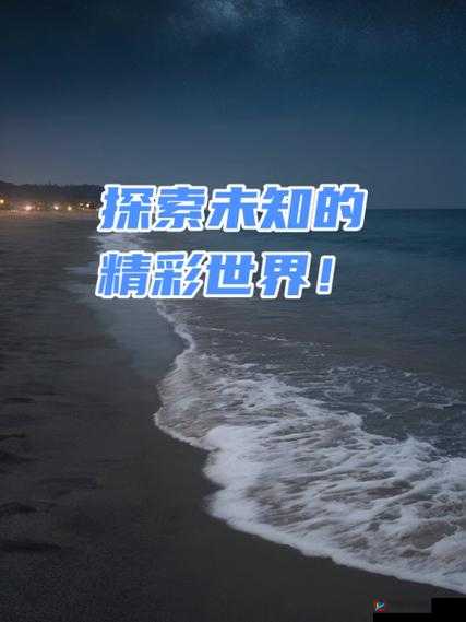干 b 网：探索未知的精彩世界