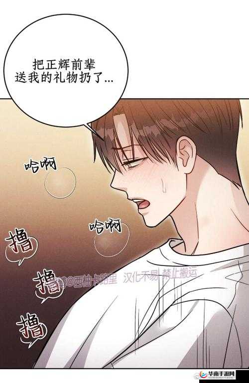 安慰剂未增减版：探究其效果与安全性的研究