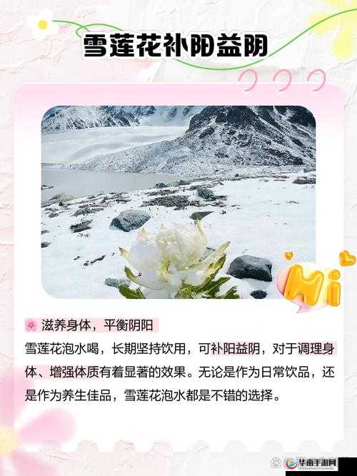 除了添花核心流水喝还是喝好，你还能有其他选择吗