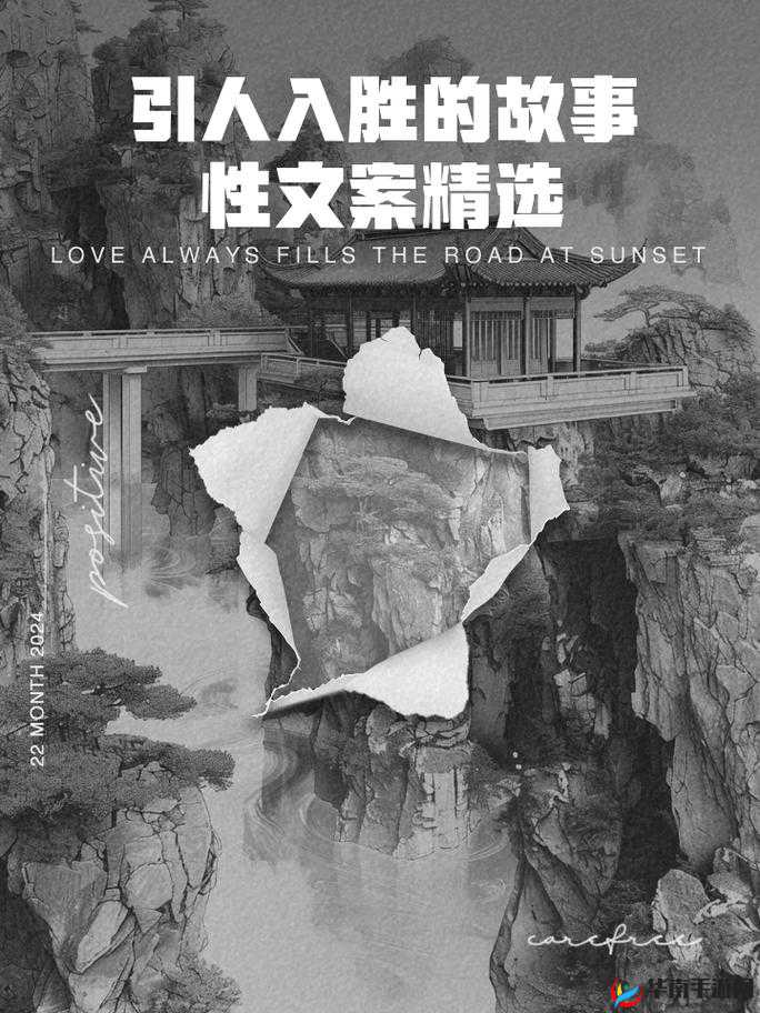 zw 时看的文案：一段引人入胜的故事