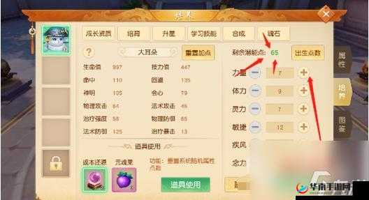 天下手游全面解析，宠物多技能合成步骤与技巧指南
