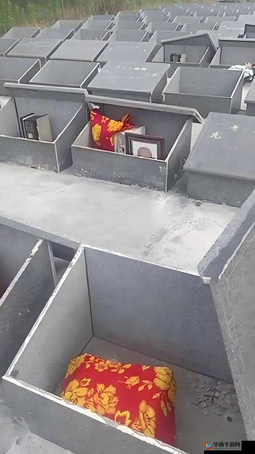 令人震惊的 100 岁老太婆裸交事件，究竟为何？