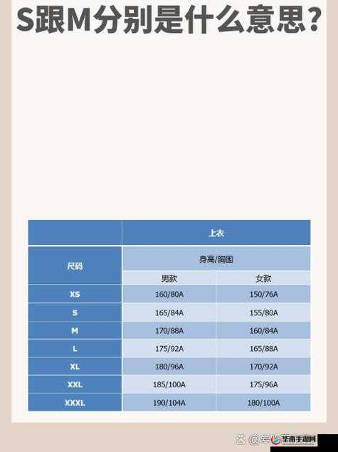 欧洲尺码日本尺码专 MBA 智库：深度解析与应用案例探讨