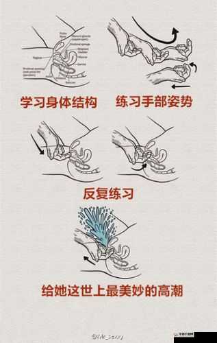 九浅一深与左三右三的完美搭配方式解析及应用