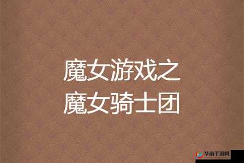 魔女骑士团竞技场夺冠之路，深度剖析其制胜策略与精湛技巧