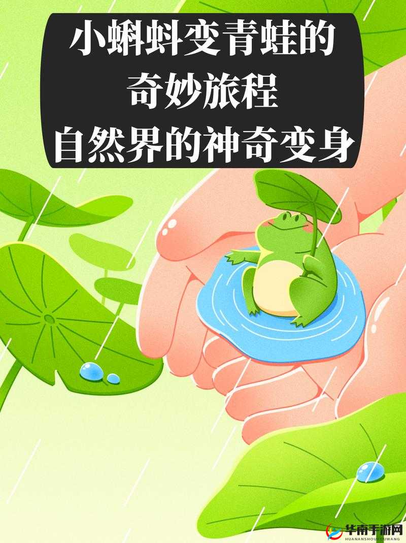 九色蝌蚪熟女：探索未知的奇妙旅程