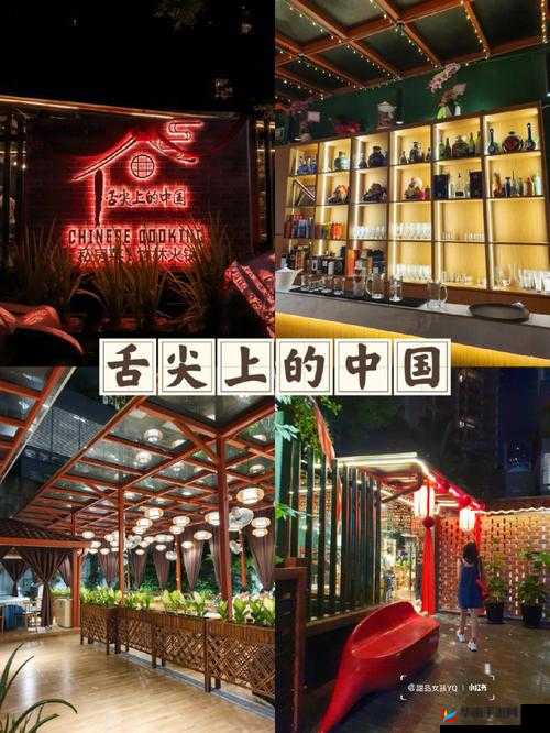 舌尖上的中国餐厅装修系统深度解析，掌握资源管理艺术，打造梦想餐厅