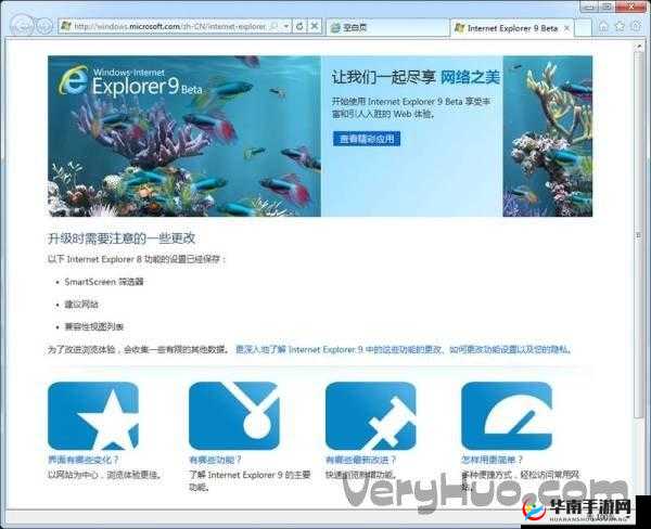 ie9 浏览器下载手机版：便捷工具，提升体验