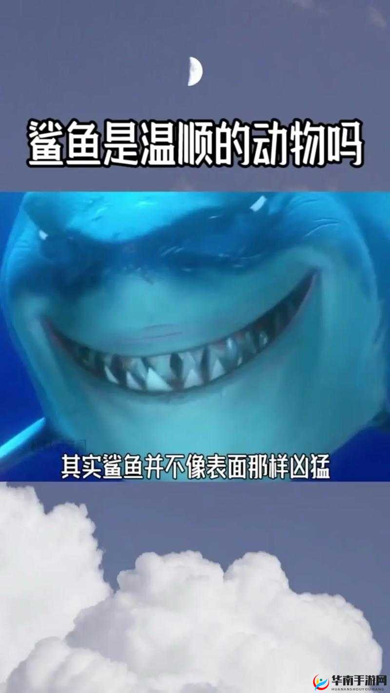 半肉减CD流上单鱼人强势出装攻略，让对手见识我的不灭鲨鱼之力