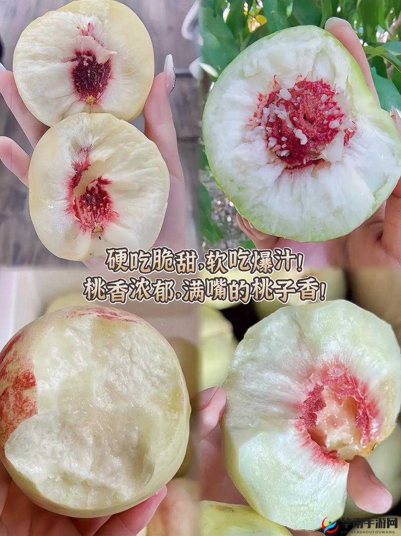 快灬快灬一下爽蜜桃：让您尽享蜜桃般的清甜与舒爽