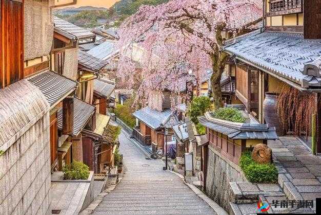 日本乡下独特现象：众多亲近相尾换伴之缘由探究