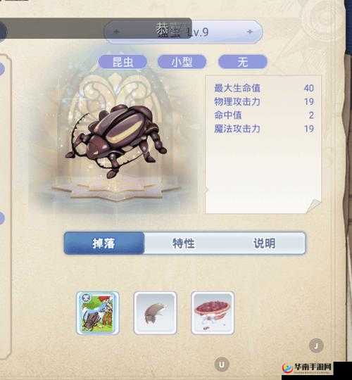 仙境传说RO手游深度解析，马尔杜克卡片作为神器的独特魅力与功能