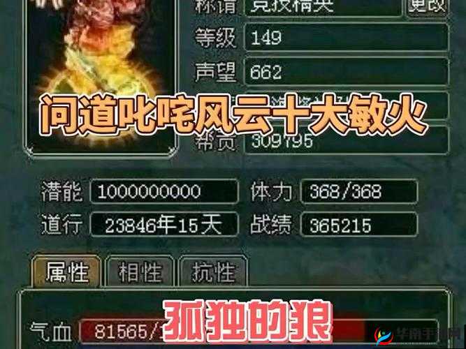 问道手游火系职业敏火角色高效宠物阵容搭配与选择深度解析
