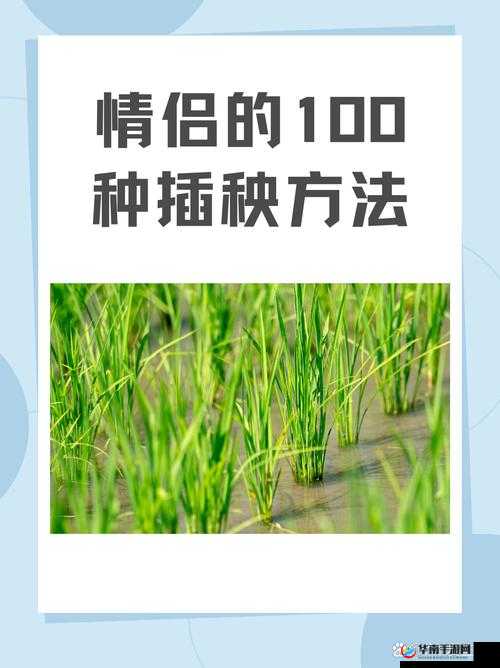 夫妻插秧 38 种方法：实用技巧与姿势大全