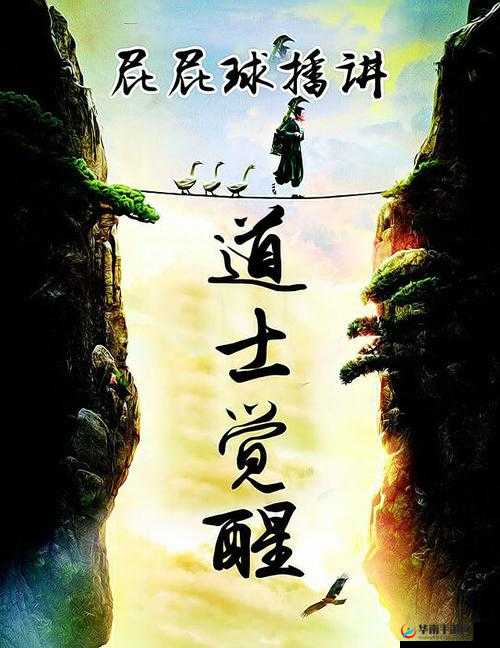 诸神觉醒，全面探索与深度剖析道士职业的独特魅力与技能体系