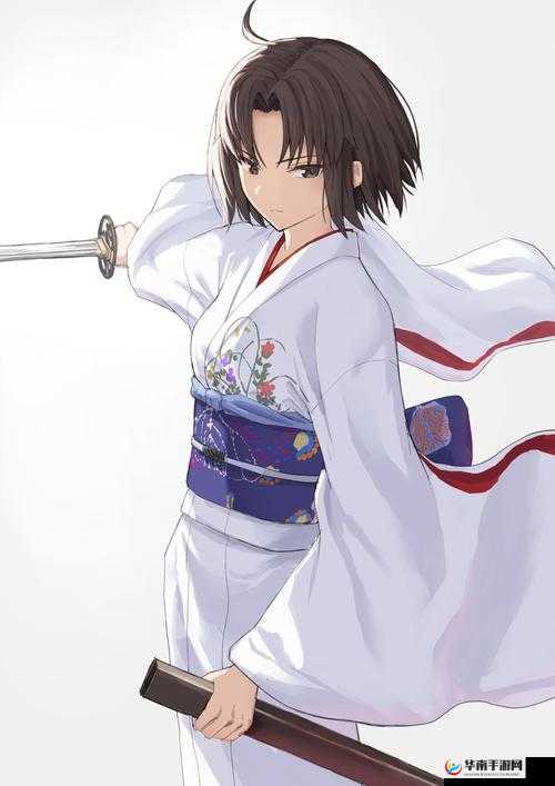 命运冠位指定FGO，深度剖析剑阶两仪式羁绊礼装的实战应用与实用性