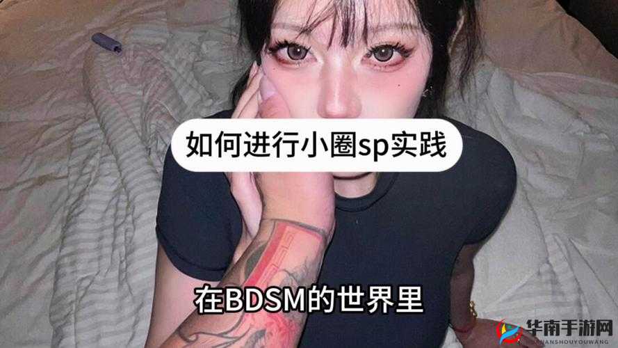 另类罕见稀奇 bdsm：探索未知的性癖好世界