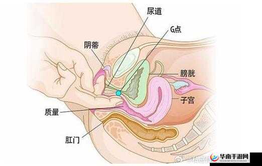 如何让大荫蒂bbbbbb大荫蒂更迷人：探索大荫蒂bbbbbb大荫蒂的魅力与保养之道