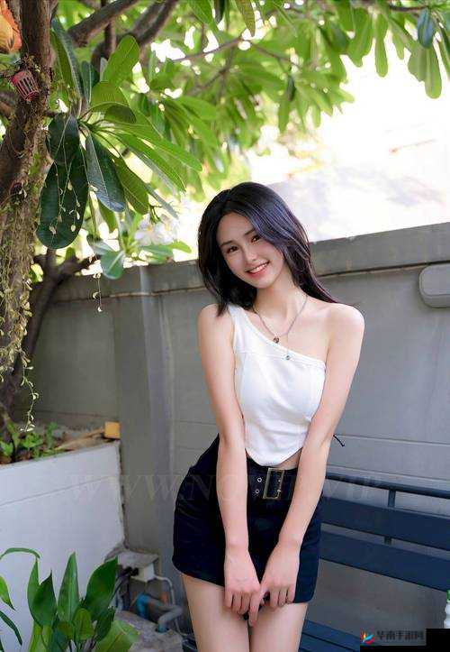 美 B B B B 嫩 B B B B：探寻极致之美与鲜嫩奥秘