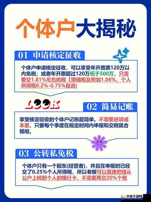 冒险与宝藏深度攻略，萌新玩家快速成长与寻宝秘籍全面公开